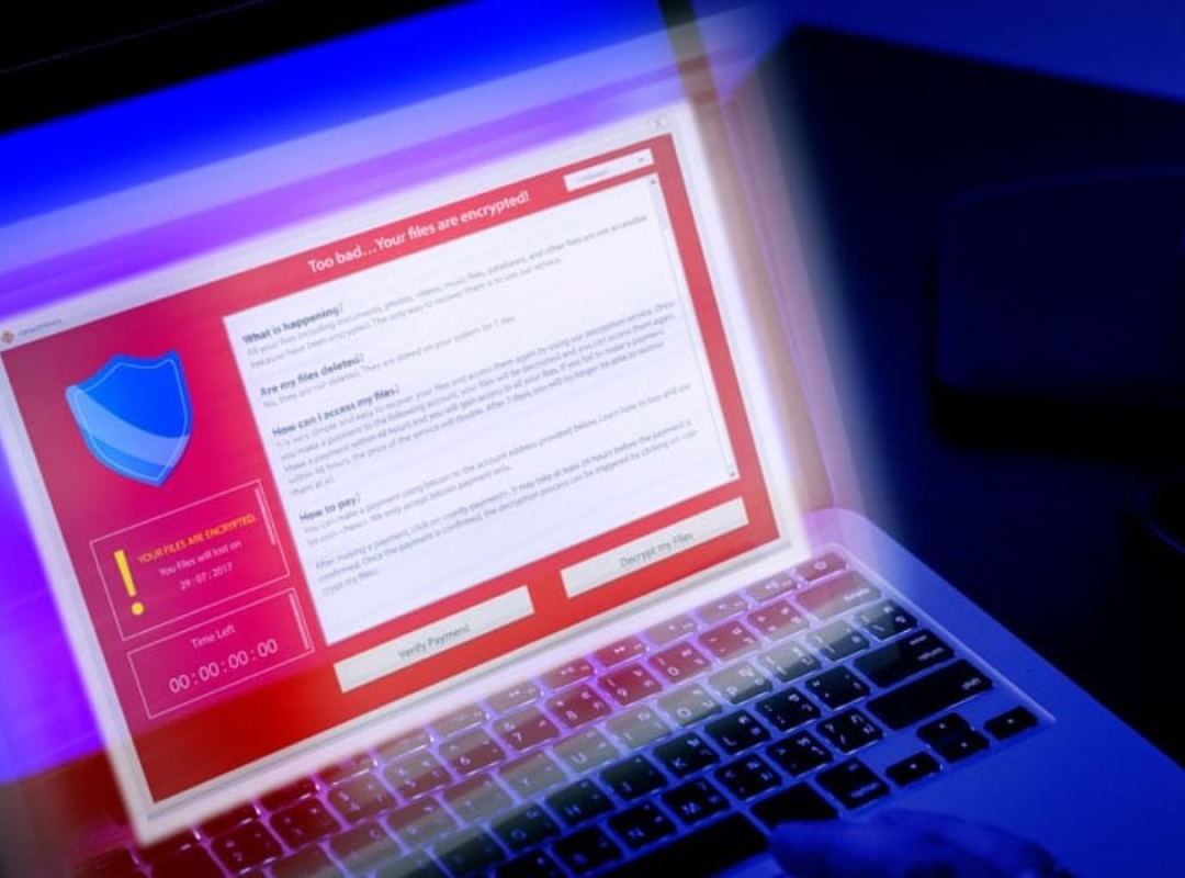 Online Security and Password Protection